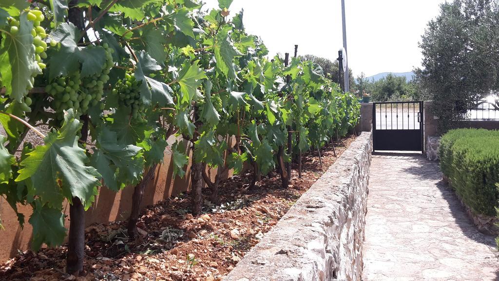 Amadrian Apartments Sibenik Ngoại thất bức ảnh