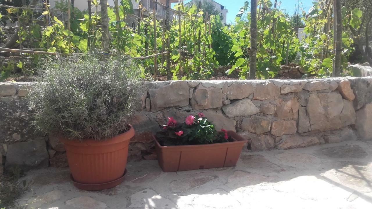 Amadrian Apartments Sibenik Ngoại thất bức ảnh
